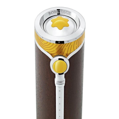 Montblanc Roller Masters of Art Hommage an Vincent van Gogh Limitierte Edition 4810 129156