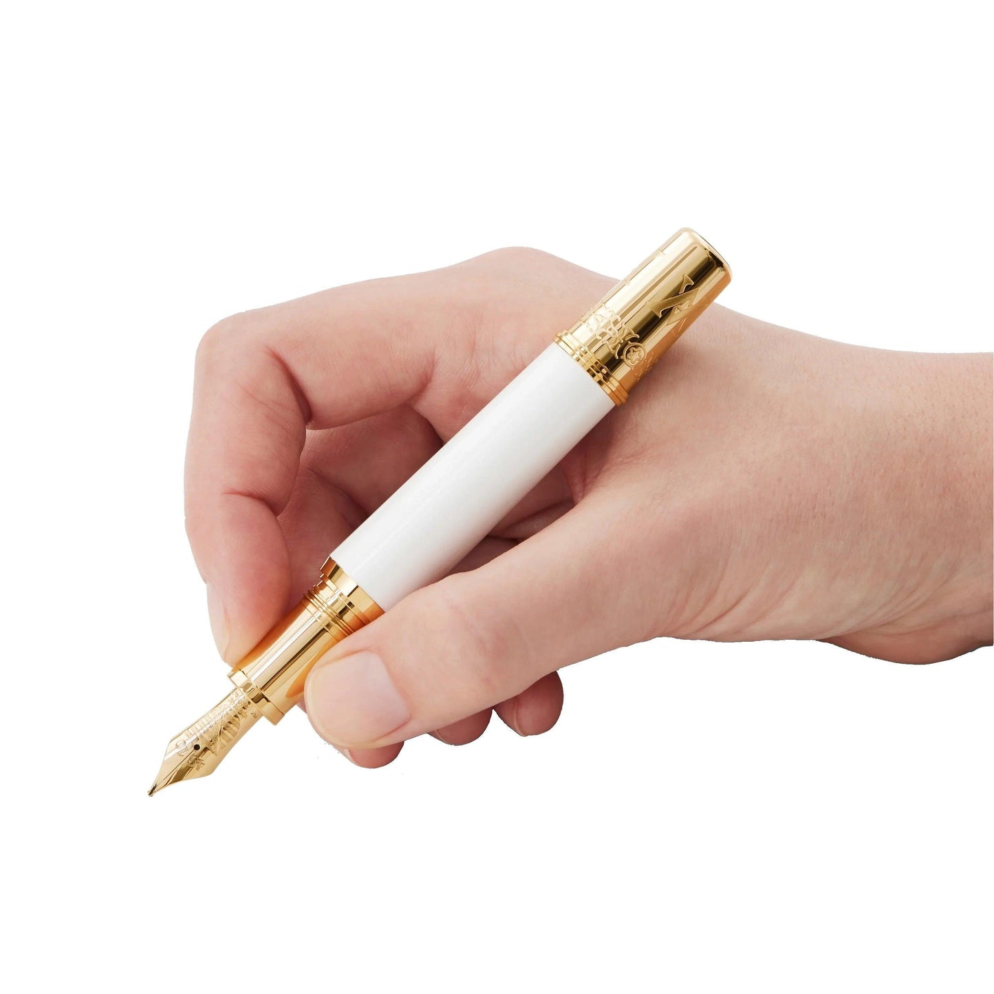 Montblanc Füllfederhalter Patron of Art Homage to Albert Limited Edition 4810 Feder M 127850
