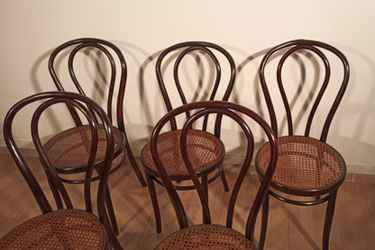 Set di 5 sedie stile thonet drava con sedute in paglia intrecciata in legno curvato vintage xxi secolo